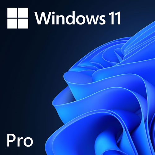 Microsoft Windows 11 Professional 64 Bit ENG Intl 1PK DSP OEI DVD in Bangladesh