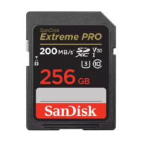 SanDisk Extreme PRO 256GB Memory Card (SDSDXXD-256G-GN4IN)