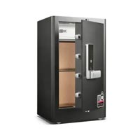 Deli 4117G Fingerprint Password Digital Safe Locker
